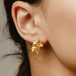 Deep in Grassland 09E